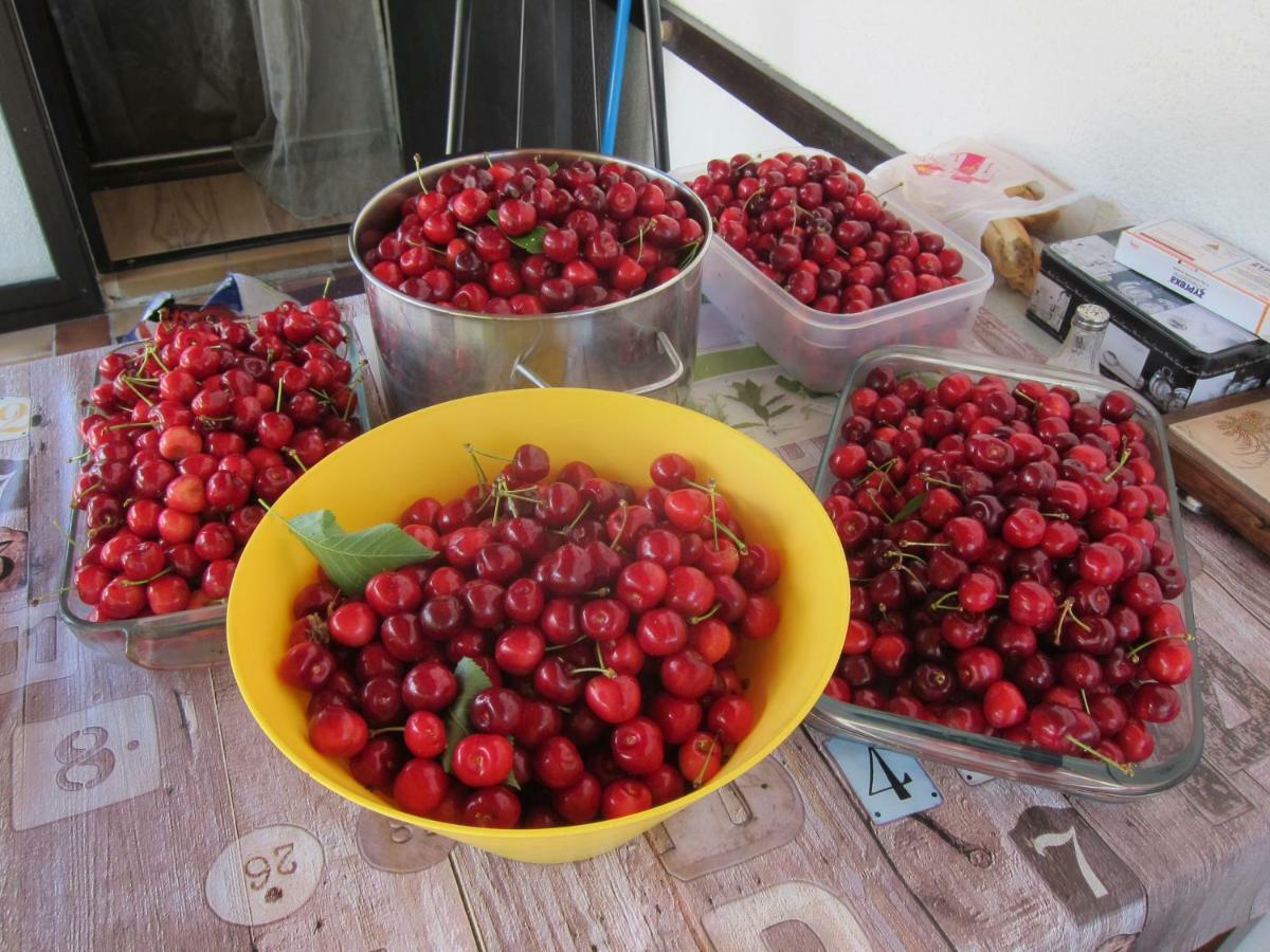 Au Verger B&B Sospel Dış mekan fotoğraf